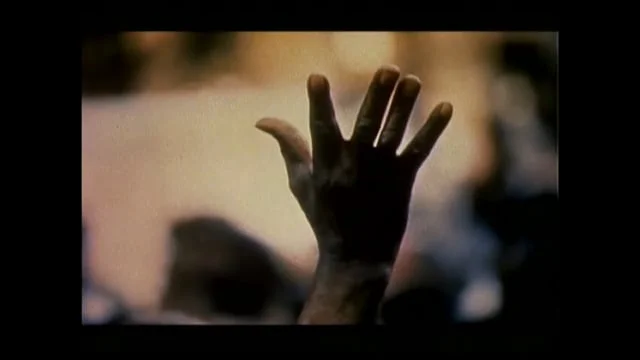 Half Past Autumn - The Life and Times of Gordon Parks