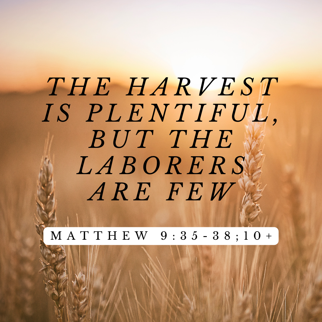 Matthew 9 35 38 10 Union Missionary Baptist Church Of Marion Matthew 9 35 38 10 Union Missionary Baptist Church Of Marion