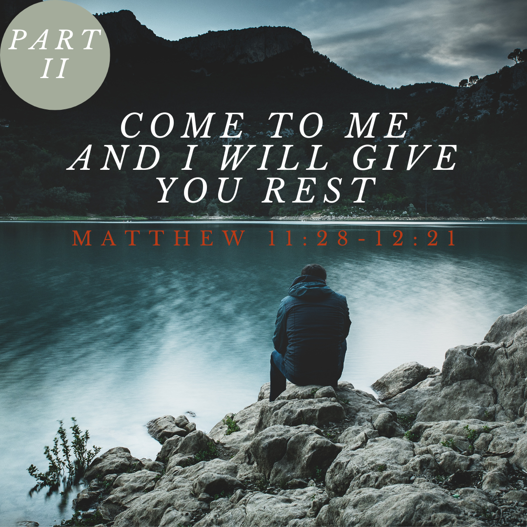 Matthew 11:28-12:21