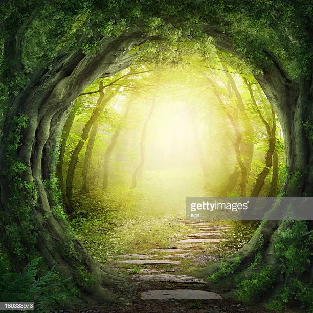 Photo by egal/iStock / Getty Images