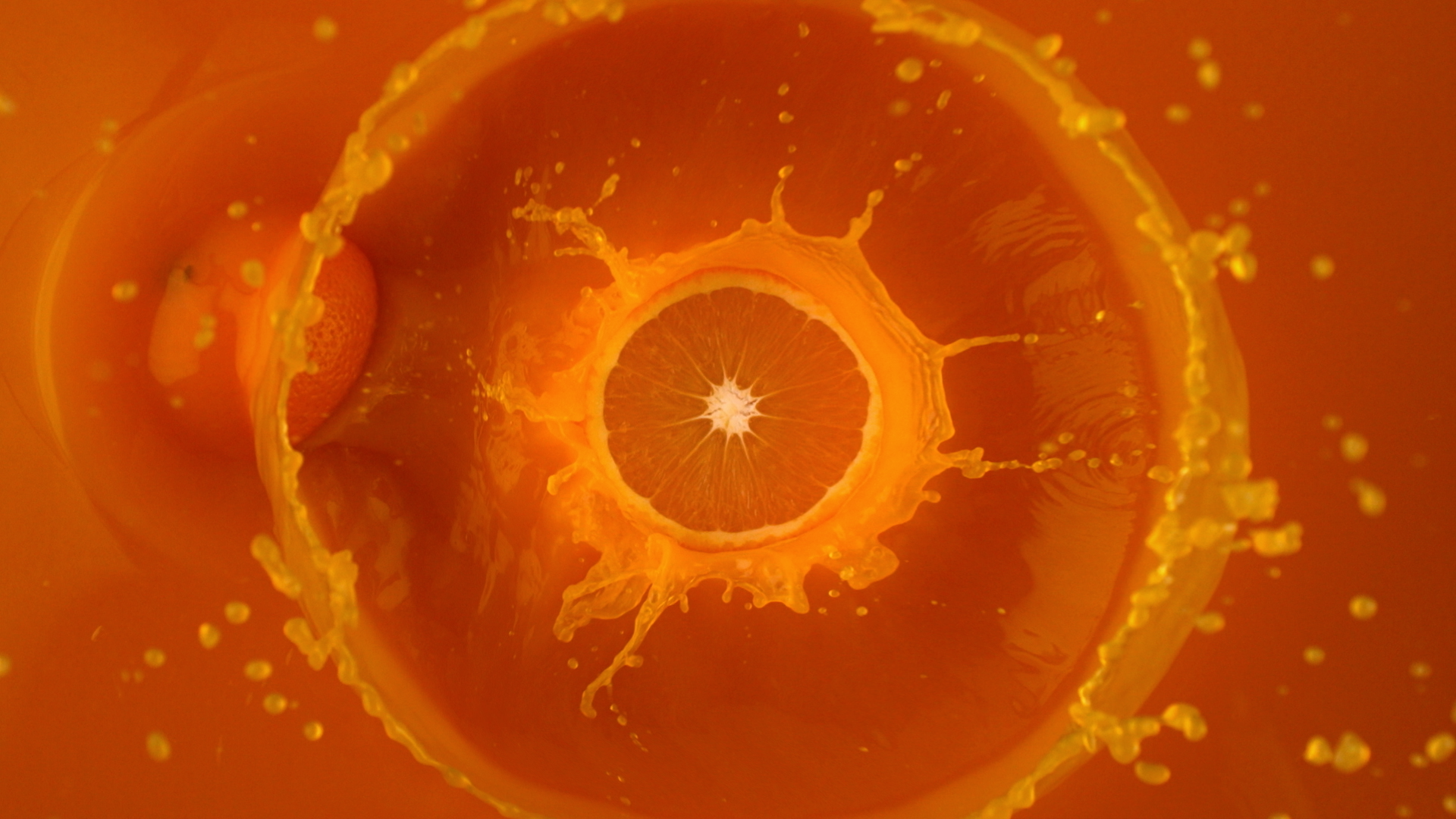 Food Still 20.png