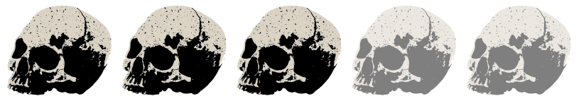 3 Skulls_Artboard 3.png