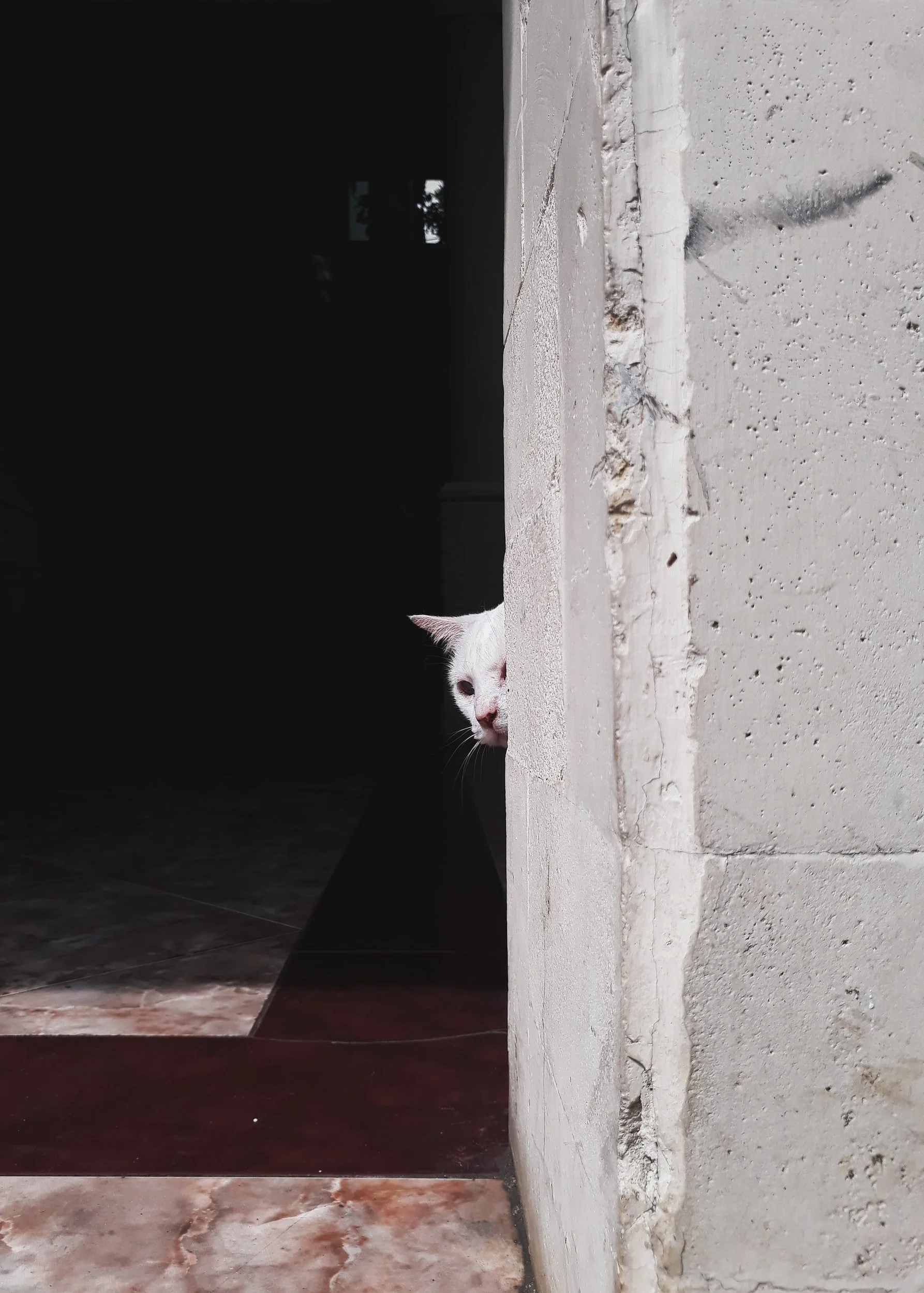 Playing Hide and Seek: A Meditation on Words