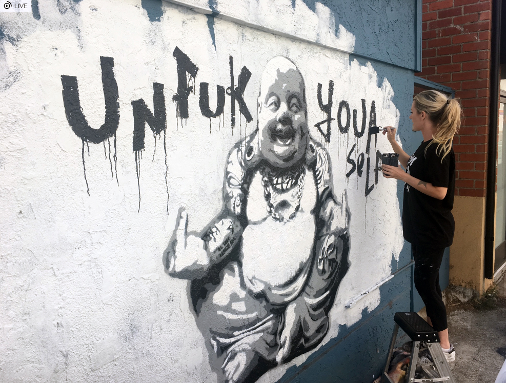 You can live as a result of your conditioning and all the messages you have absorbed from a parasitic society that capitalizes on breaking your spirit and your heart and disconnecting you from your true self and all of your life potential… or you can UNFUKYOURSELF.