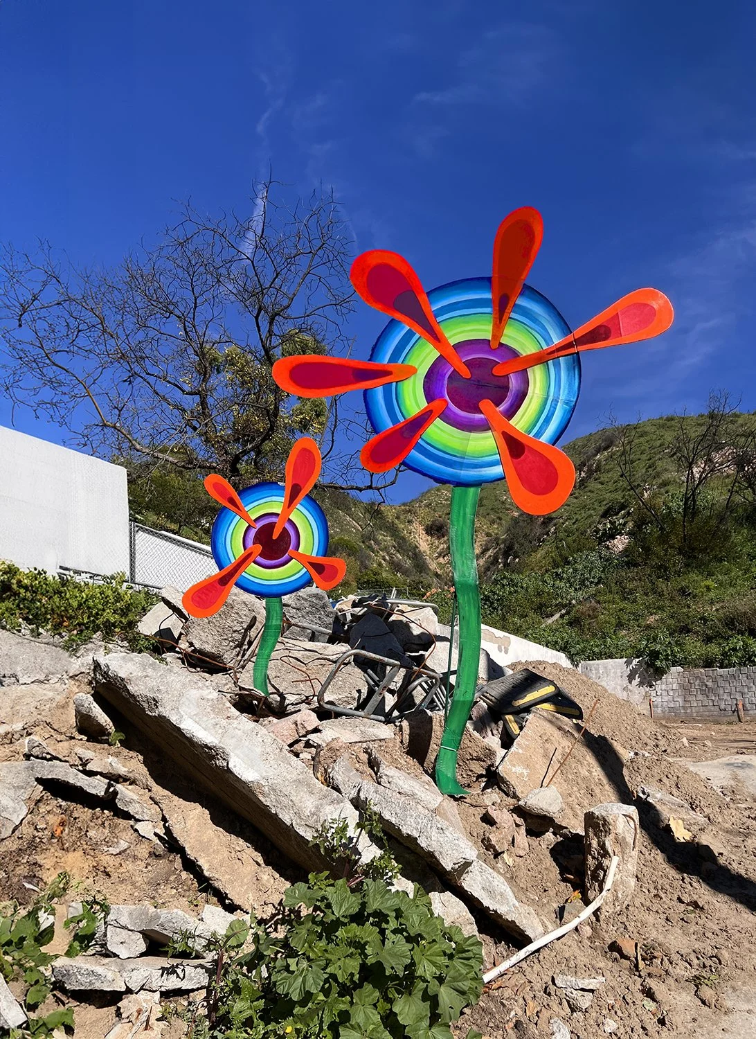  <--copy coming soon—> I made these about a year ago, intending to place them in the charred rubble left by the Palisades fire. I was thinking of calling the project F5 (Refresh). Grisly images have a way of burning themselves onto the screen o