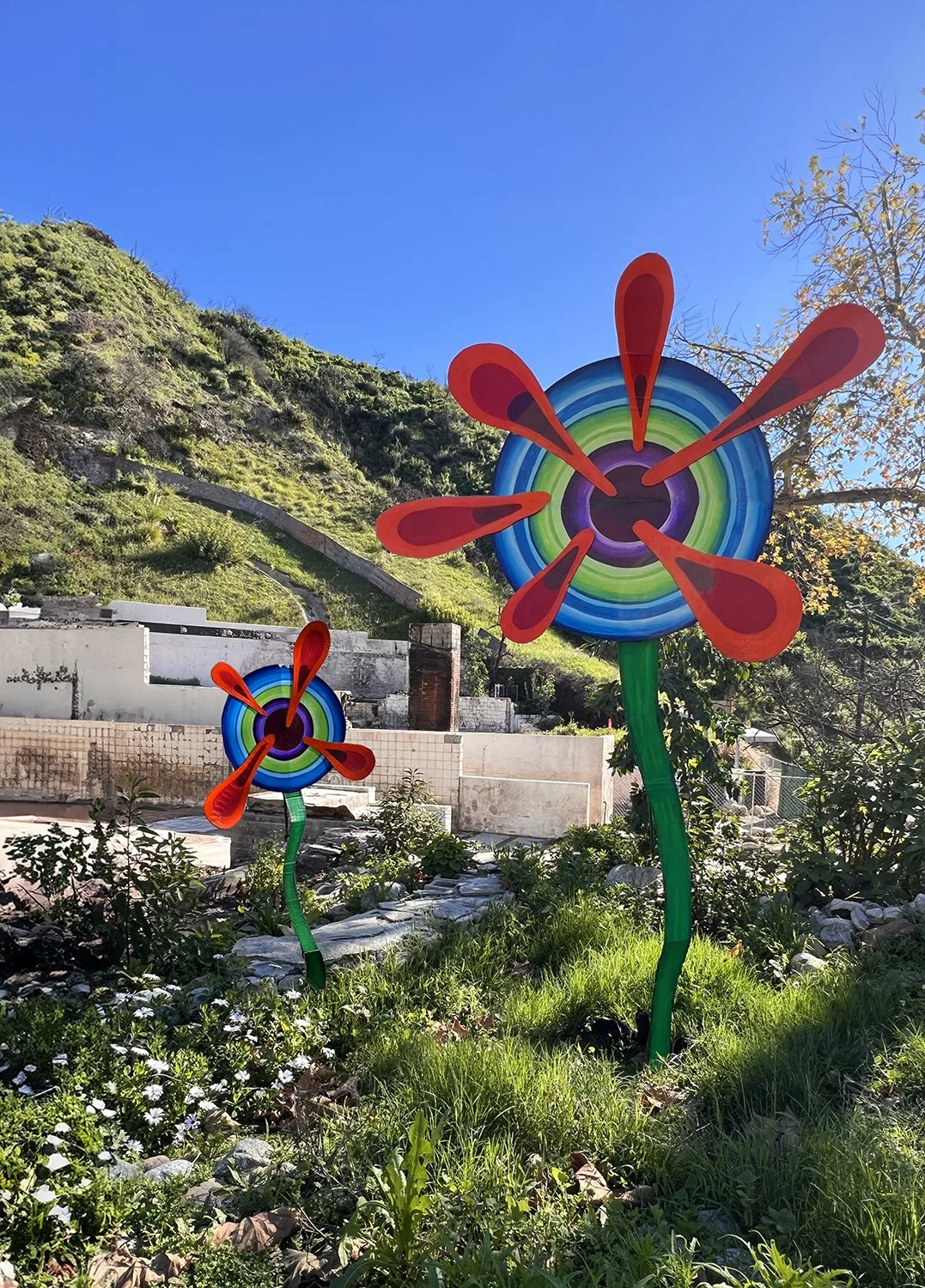  <--copy coming soon—> I made these about a year ago, intending to place them in the charred rubble left by the Palisades fire. I was thinking of calling the project F5 (Refresh). Grisly images have a way of burning themselves onto the screen o