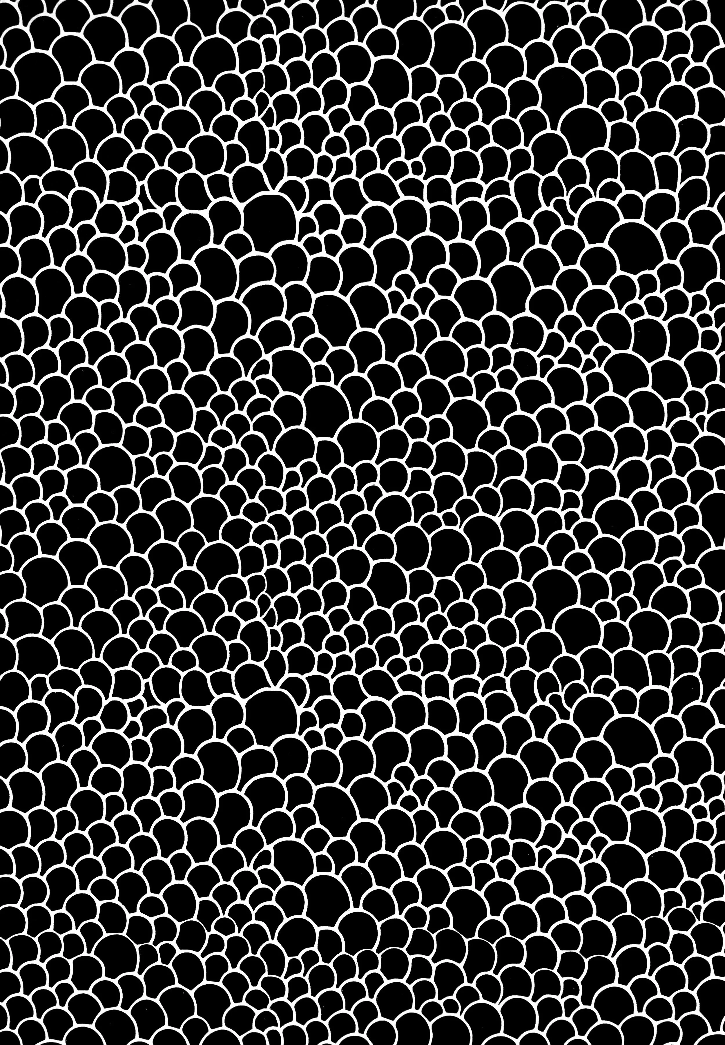 Untitled (scales)   Silkscreen on canvas 34in X 24in