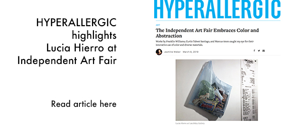 News_Hyperallergic_LuciaHIerro.jpg