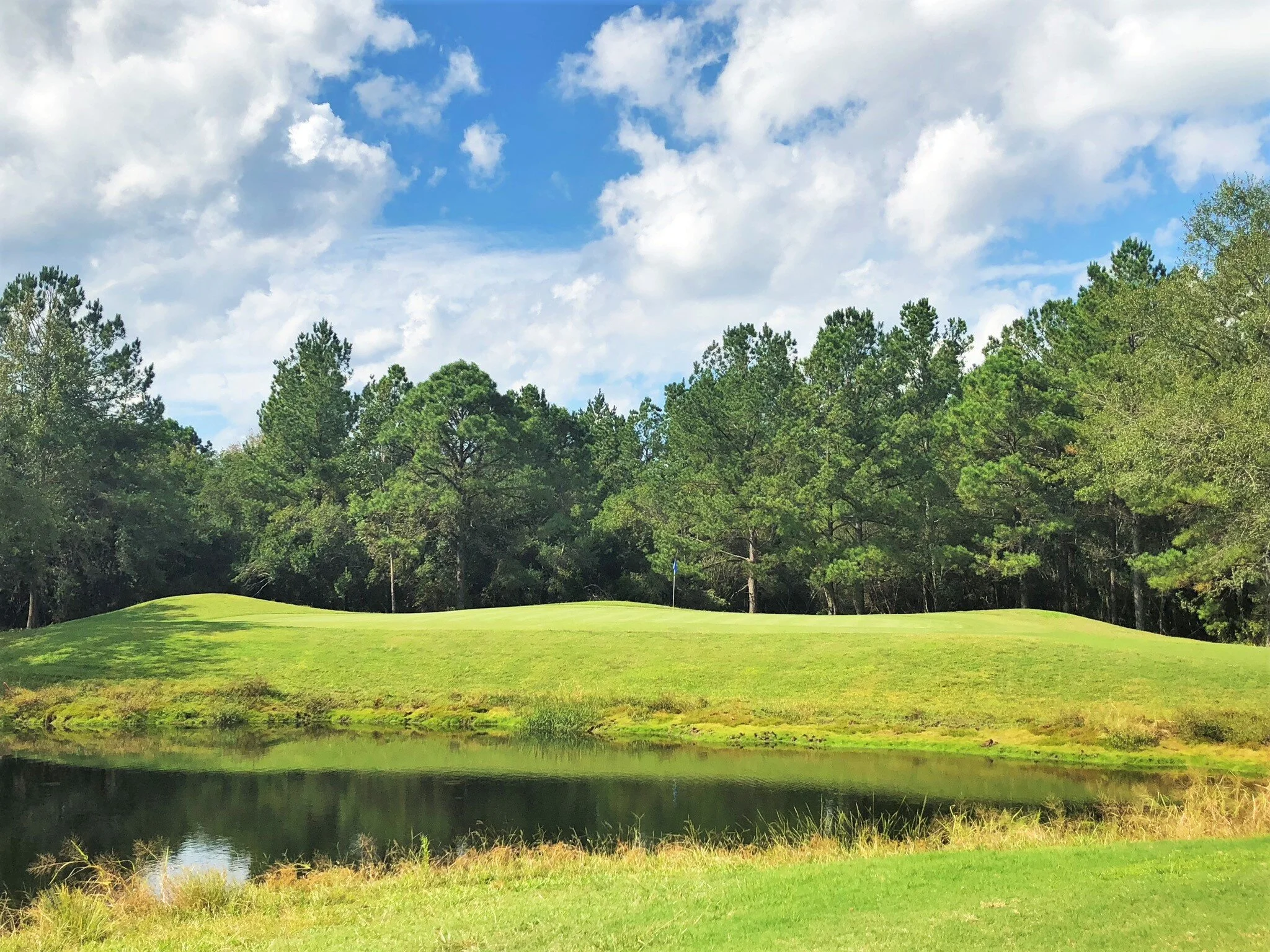 Black Creek Golf and Grill