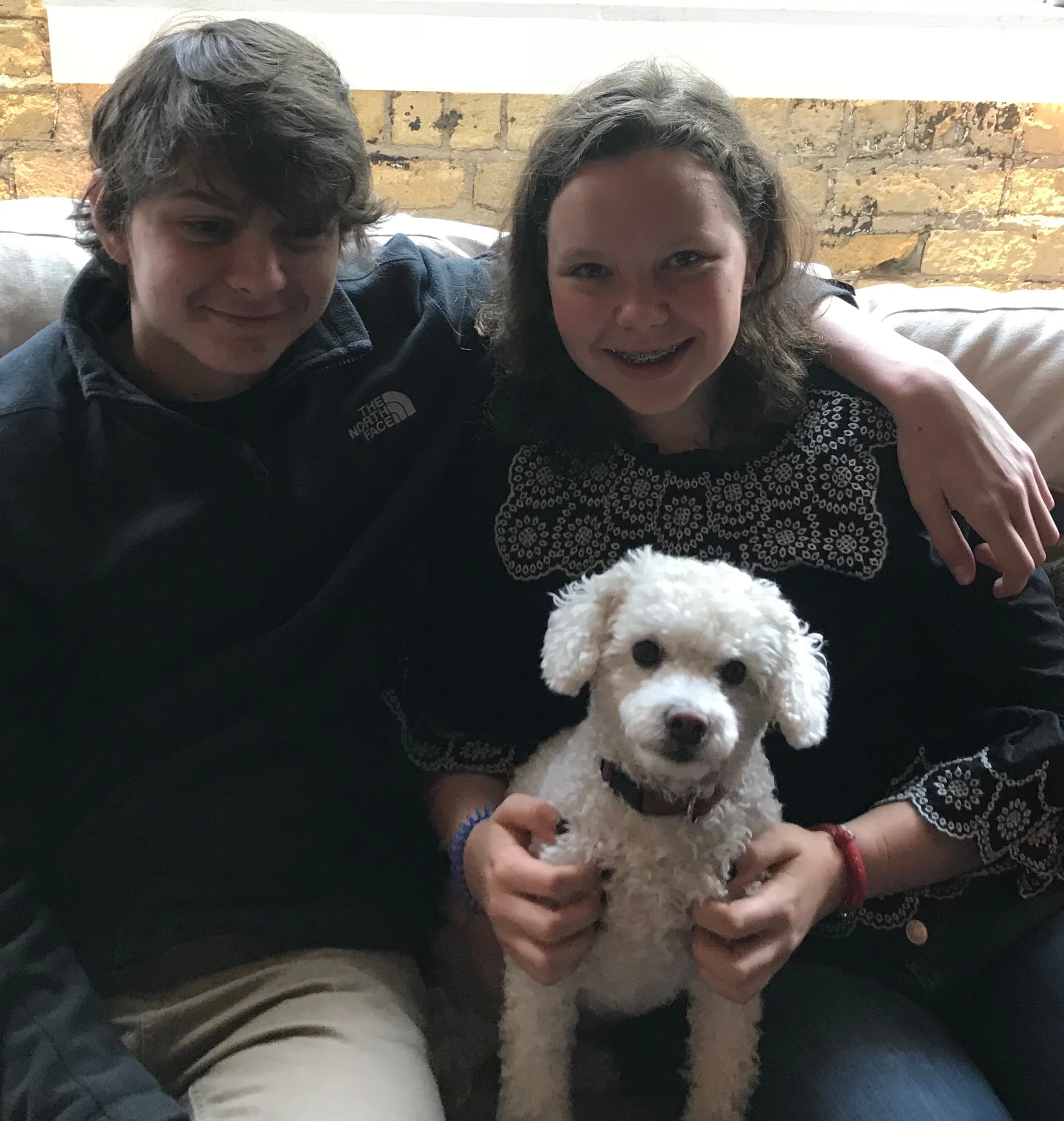 Animal Reiki Healing Session (30 minutes)