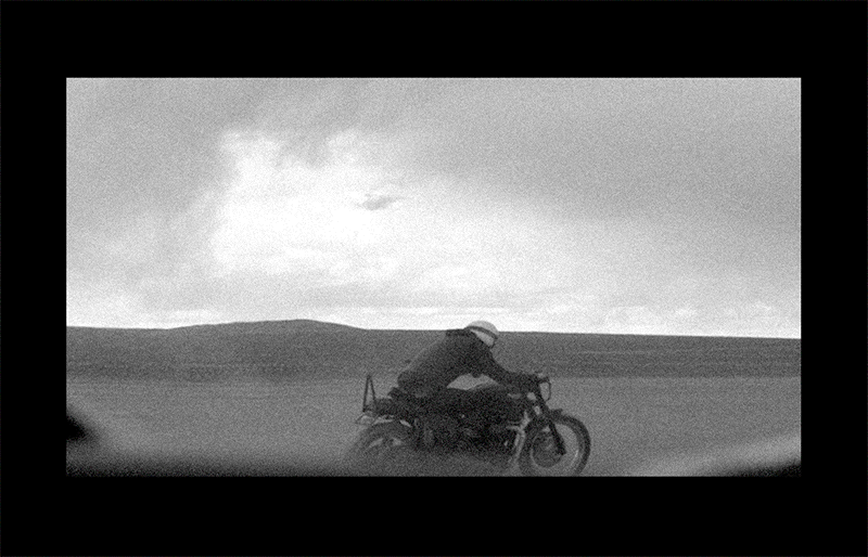 Serengeti_Title2.gif