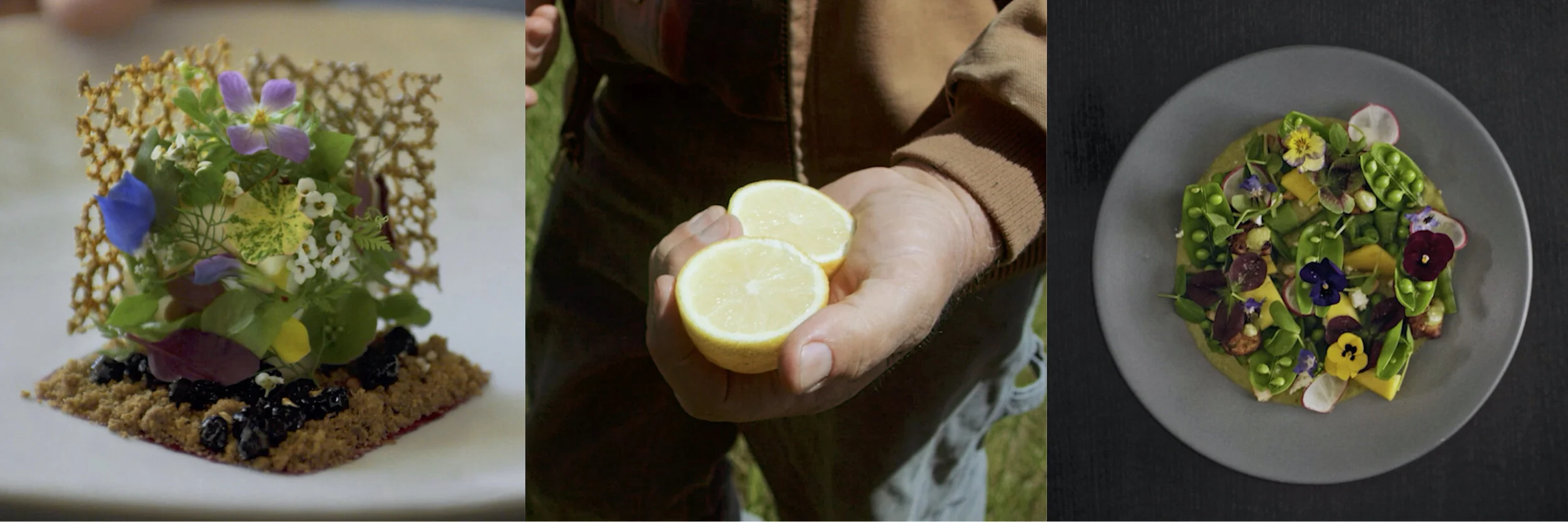 michlin guide images.jpg