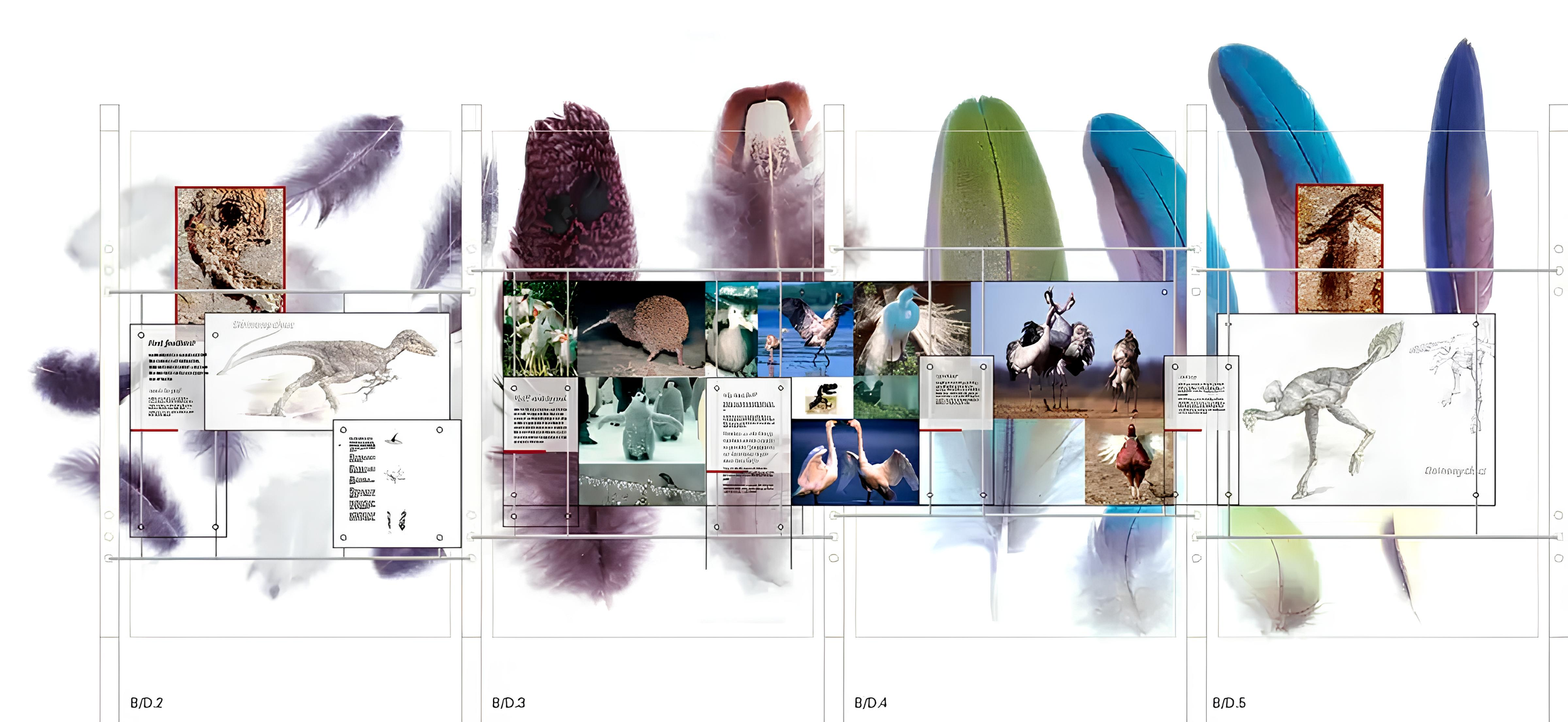  The exhibition uses a layered design concept for multi- language communication with the centrepiece of the exhibition, an interactive where you can scan fossils and search for identifiable skeletal parts. 