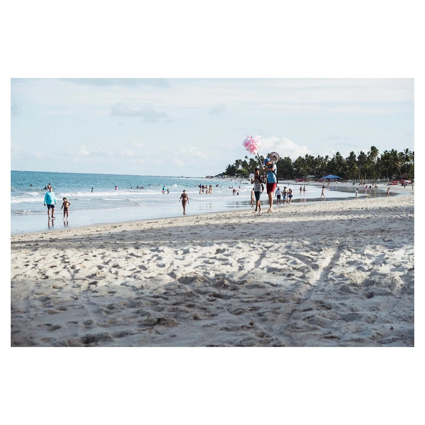 Algod&atilde;o Doce &bull; Pernambuco, 2019 &bull;