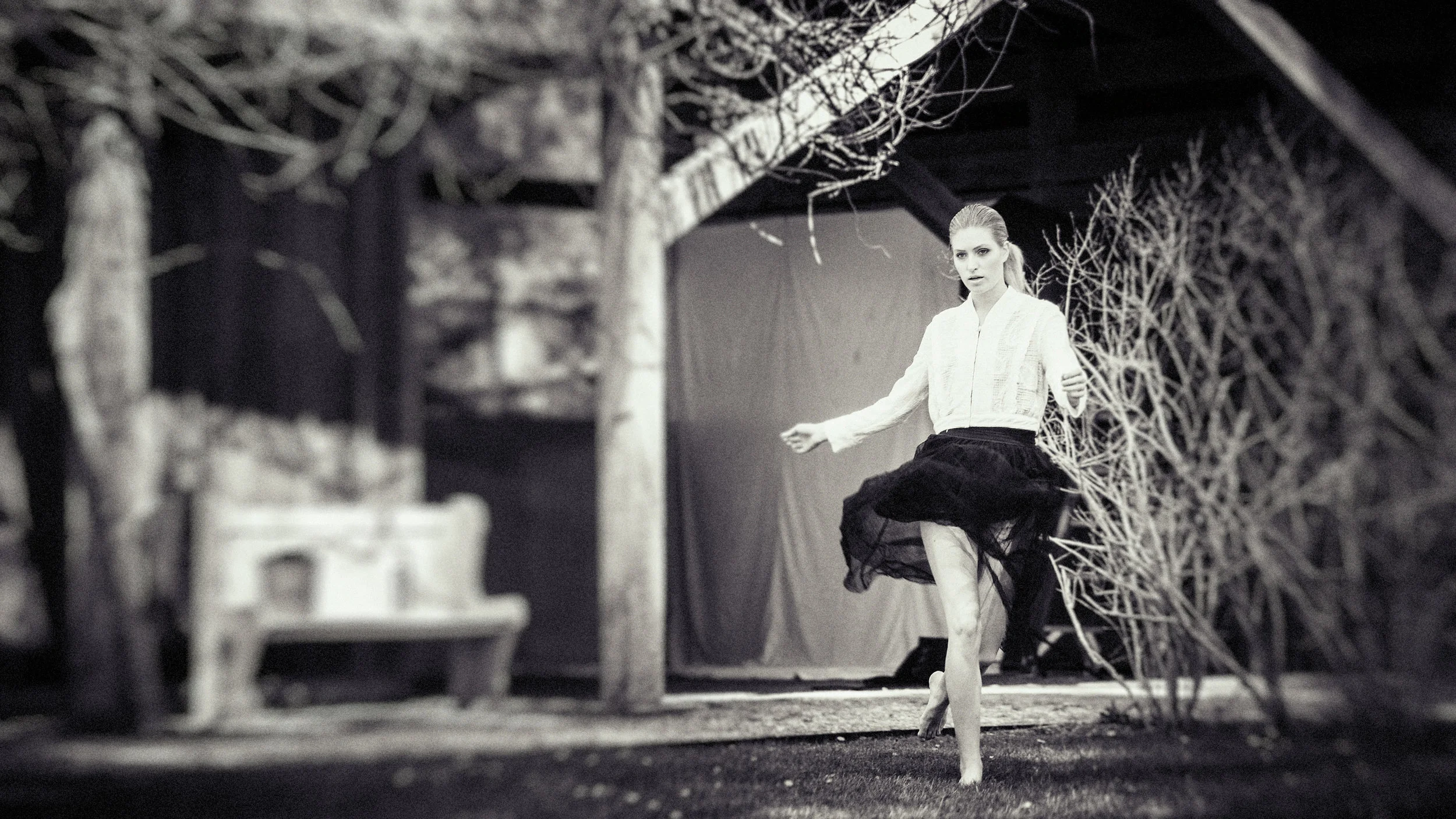 contemporary photography