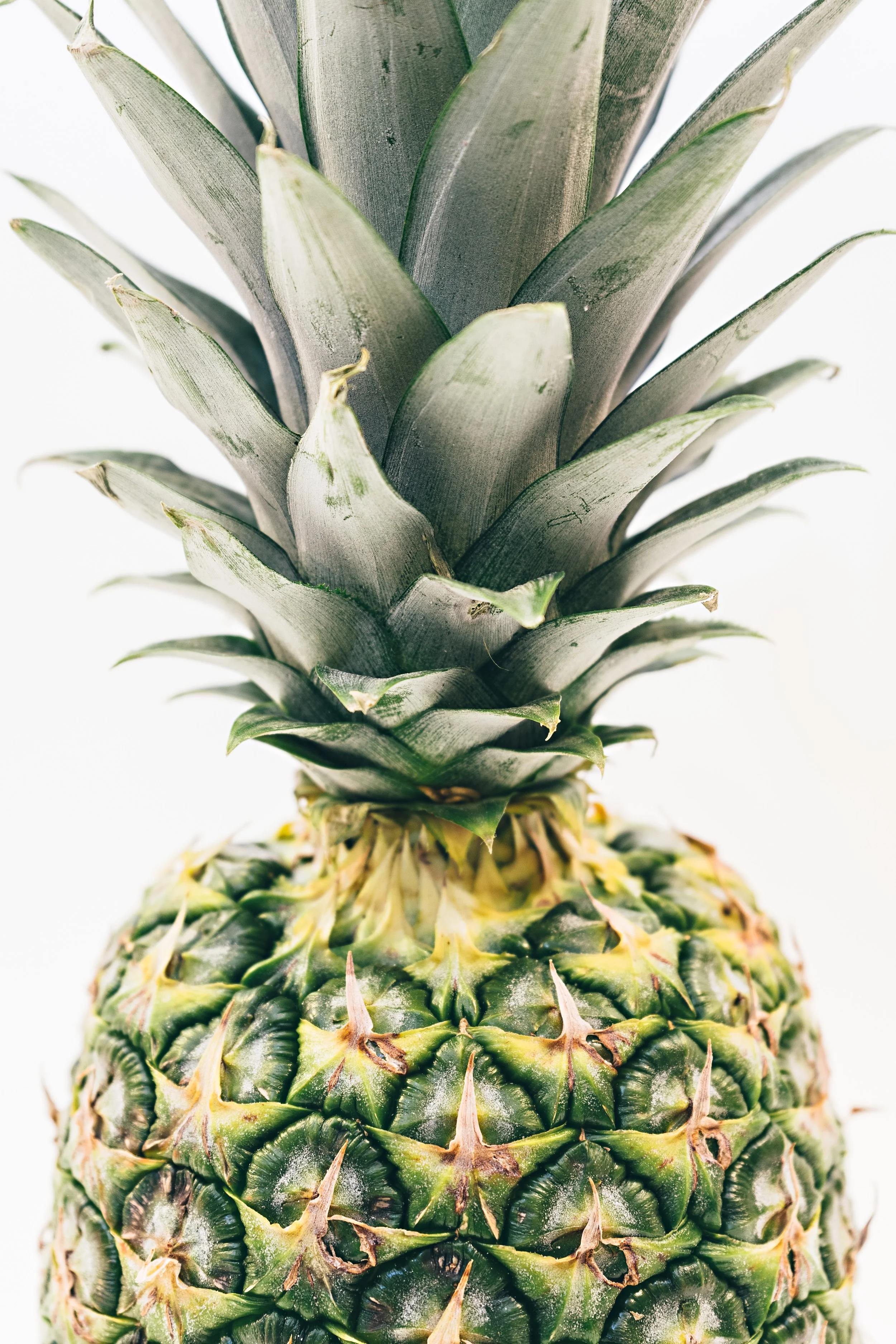 pineapple-supply-co-258368-unsplash.jpg