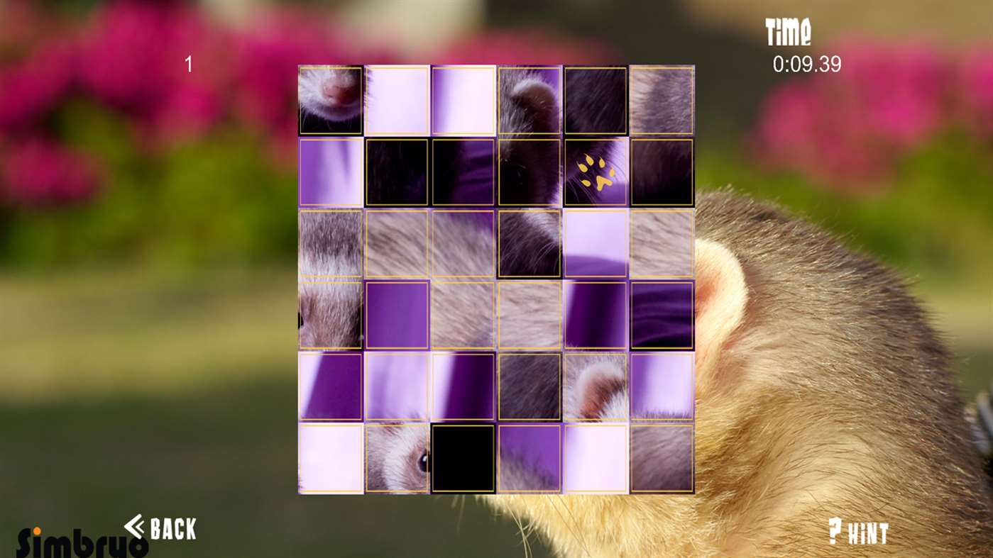 Ferret Puzzles