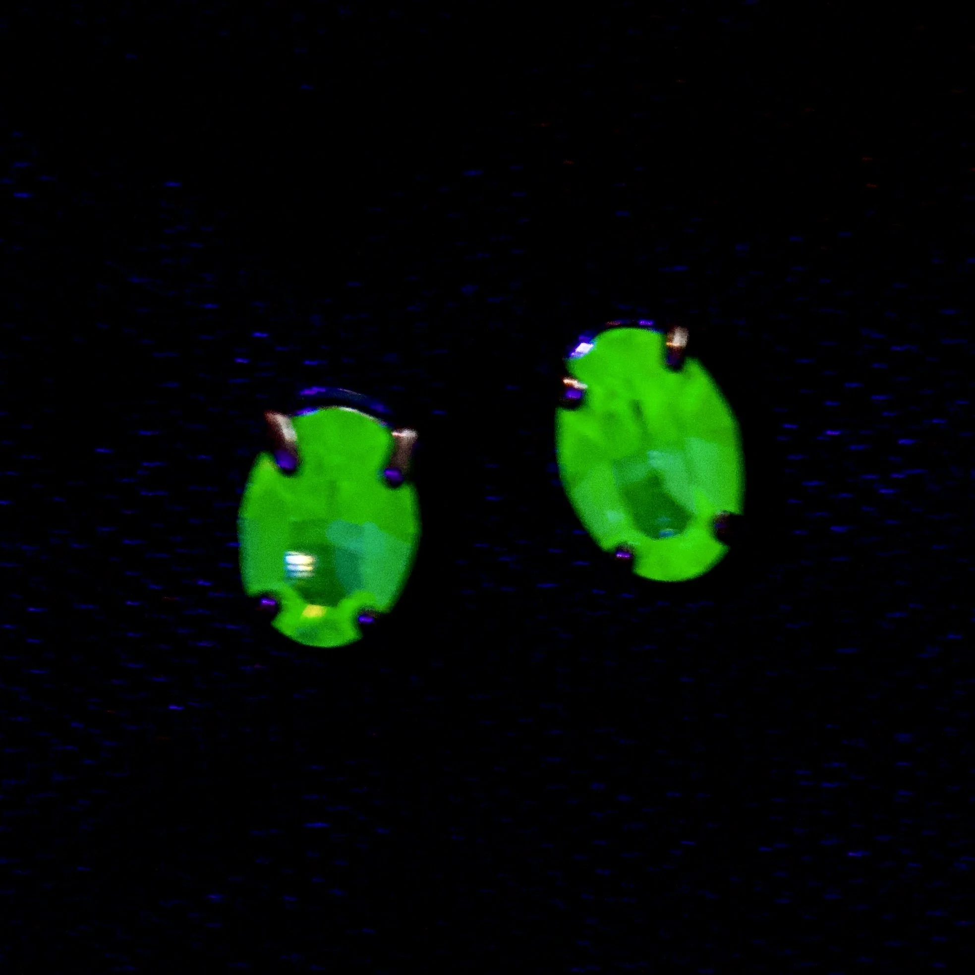 DSC_0009.jpeg