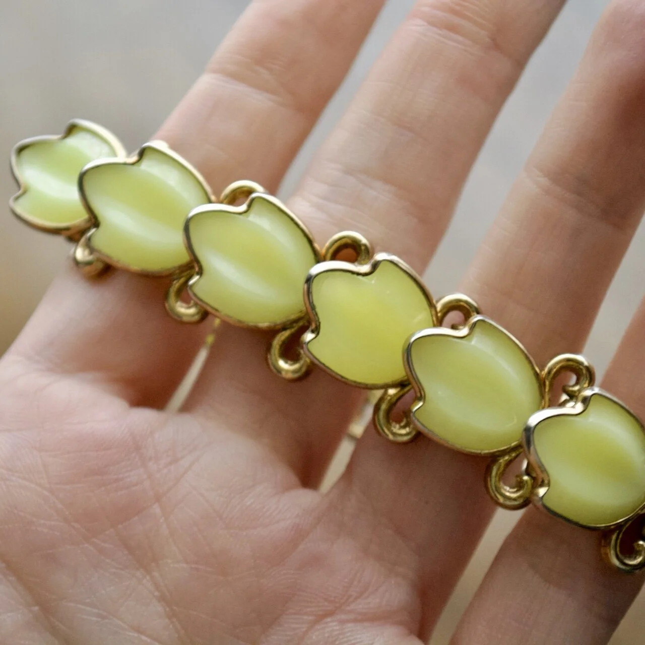 F8ED1AE5-9C4F-474D-82EE-04591B332105