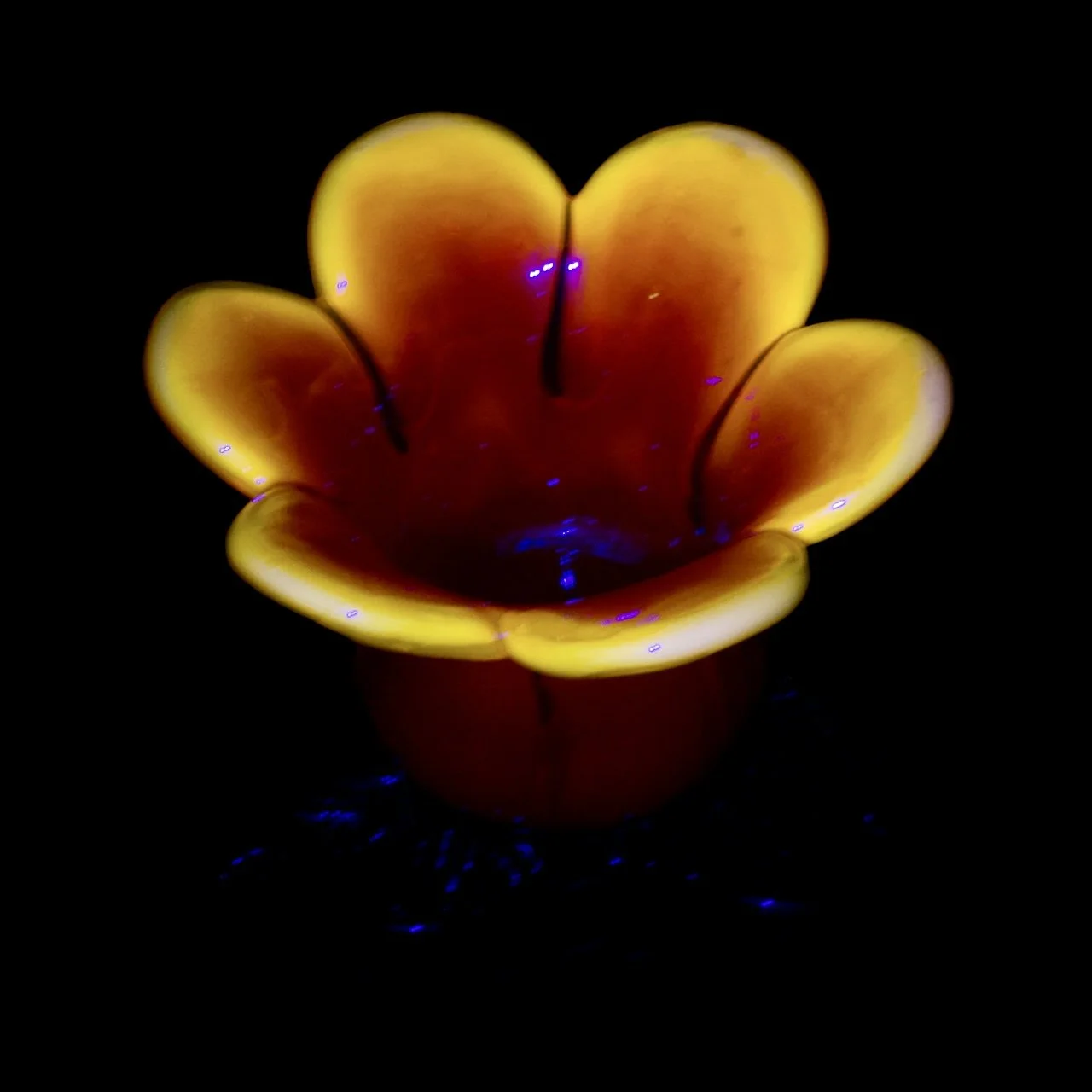 5D64BF8F-1DAA-4A9E-89AD-CBAE2C2B7882.jpeg
