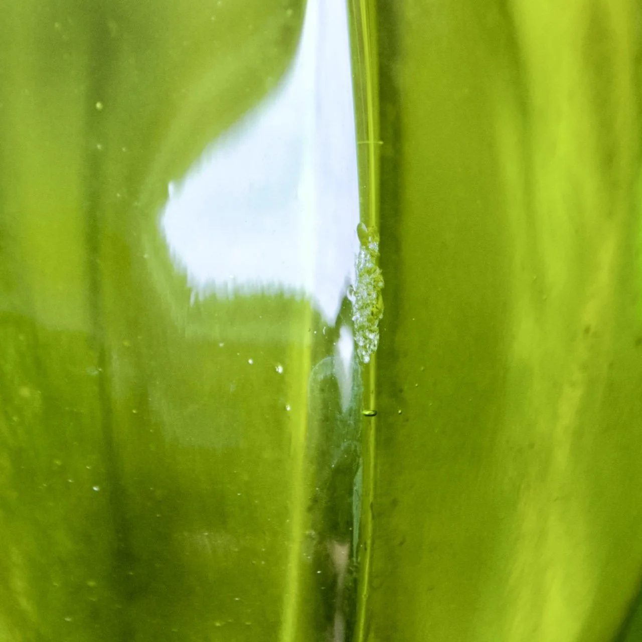6782950D-C80A-43E4-86AA-15A48AEFE004.jpeg