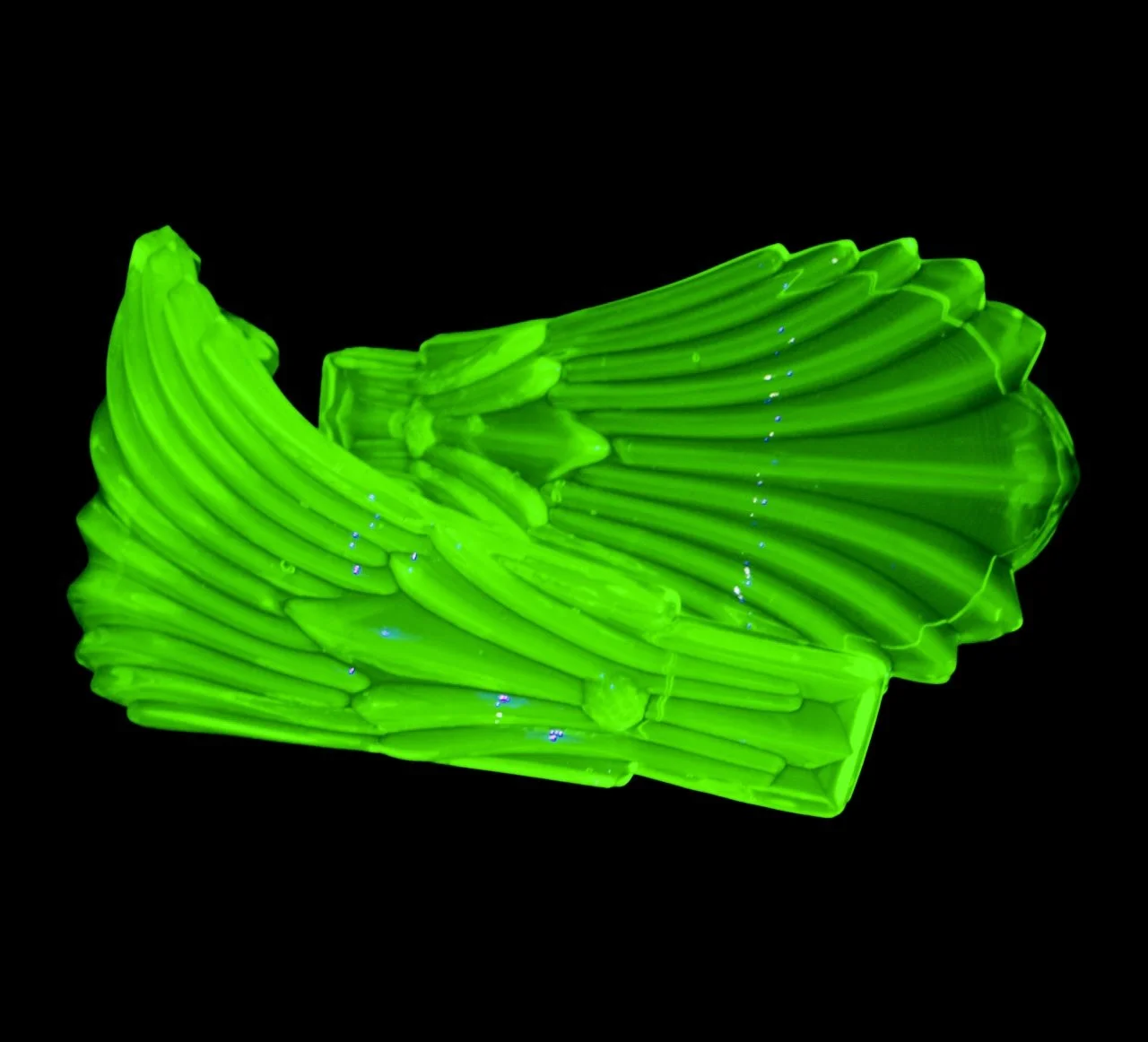 308E22D1-5F5B-474D-8DF7-8B8B2271FD80.jpeg