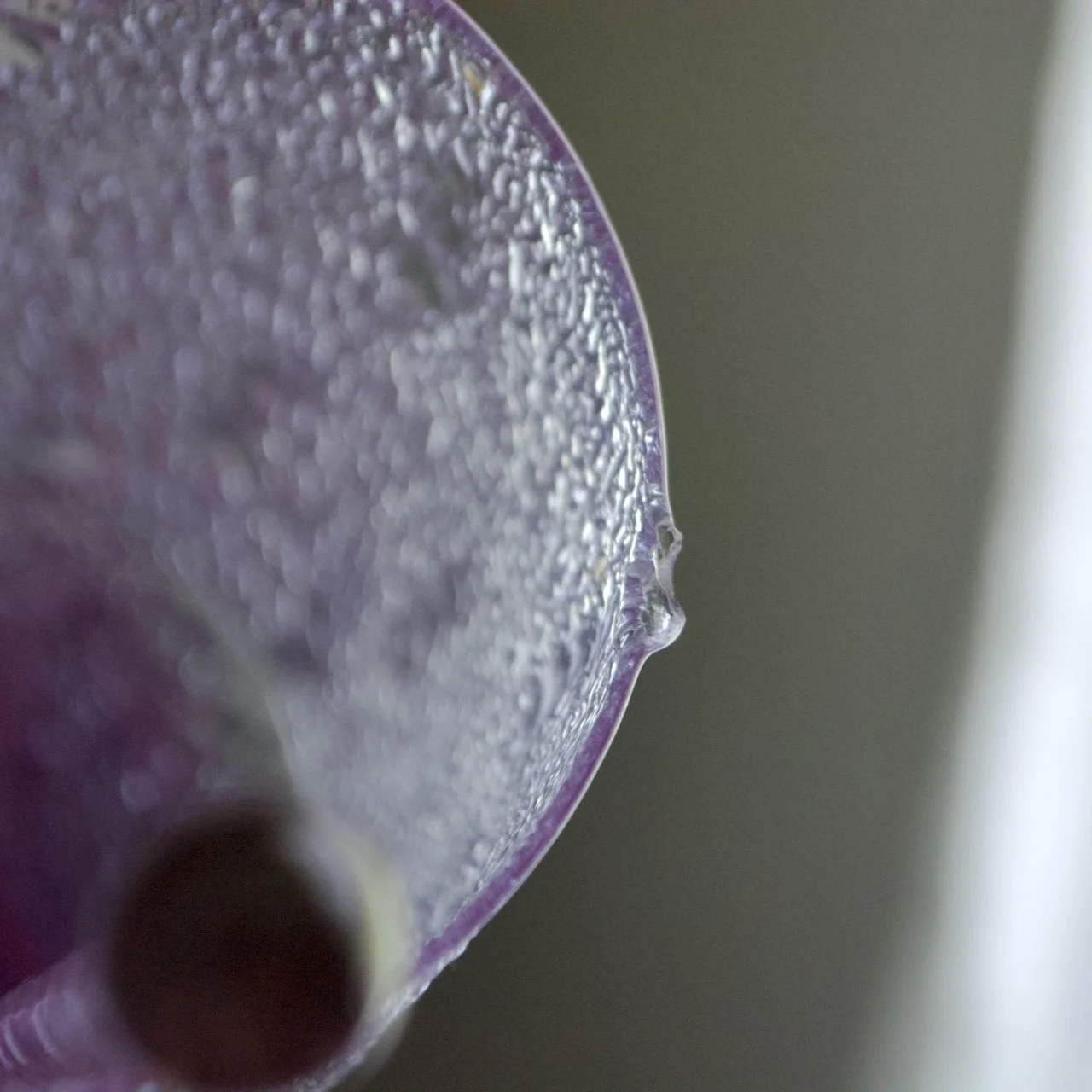 DSC_0070.jpeg