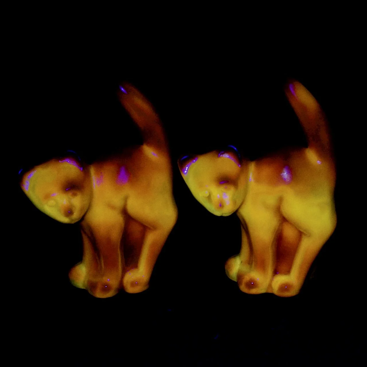 DSC_0064.jpeg