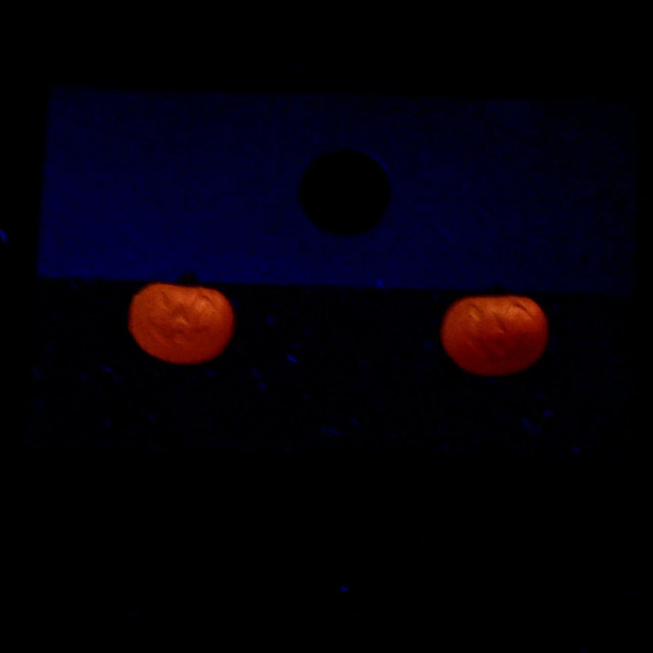 DSC_0035.jpeg