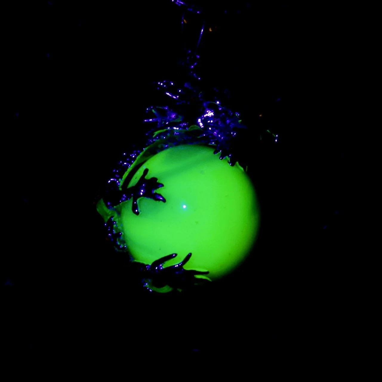 DSC_0056.jpeg