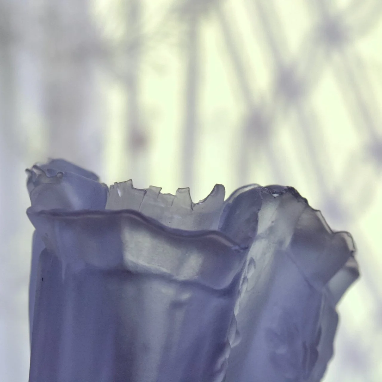 DSC_0045.jpeg