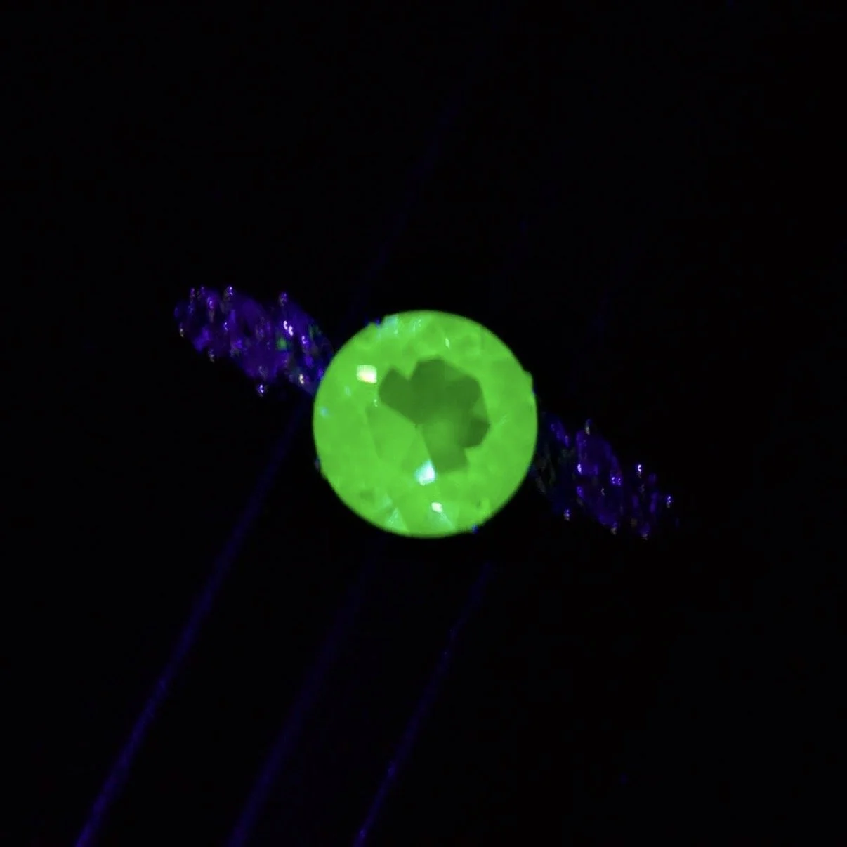 IMG_8215.jpeg