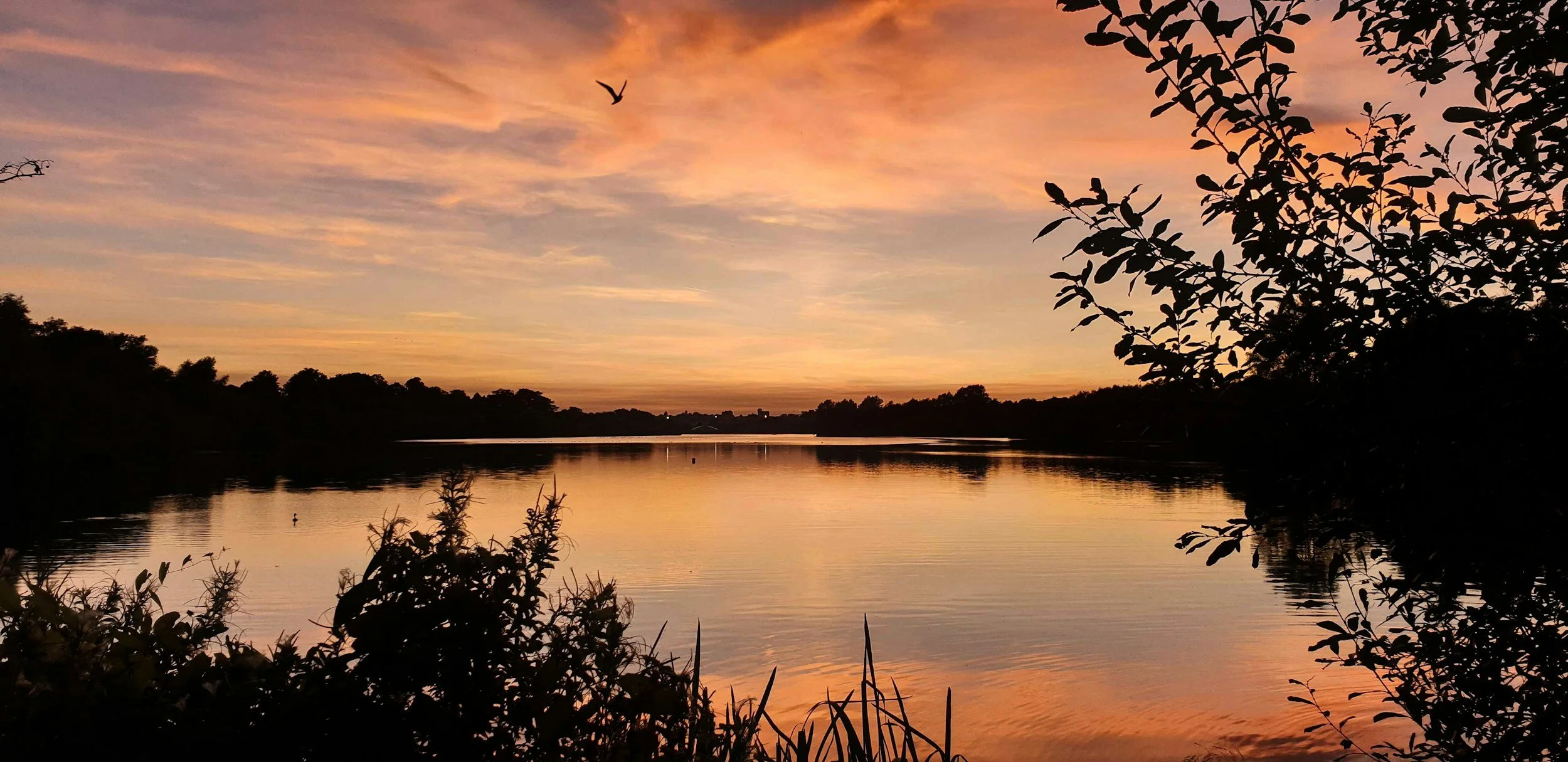 Beautiful sunset over Grand Lake near Monkey Island Resort in Oklahoma.