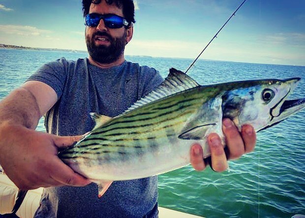 Nice bone from today on the first day of September #summer #hogylures #sharkweek #capeandislands #charters #regulatorboats #albies