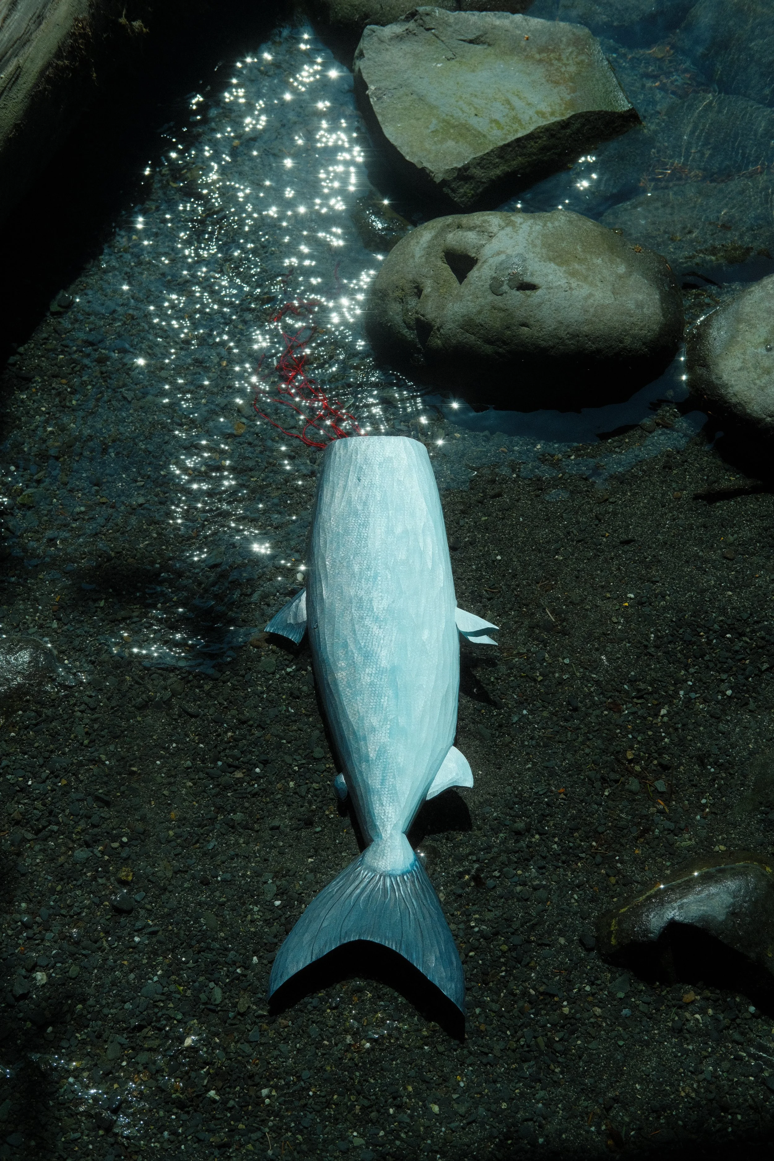 Iqalukpik in running water
