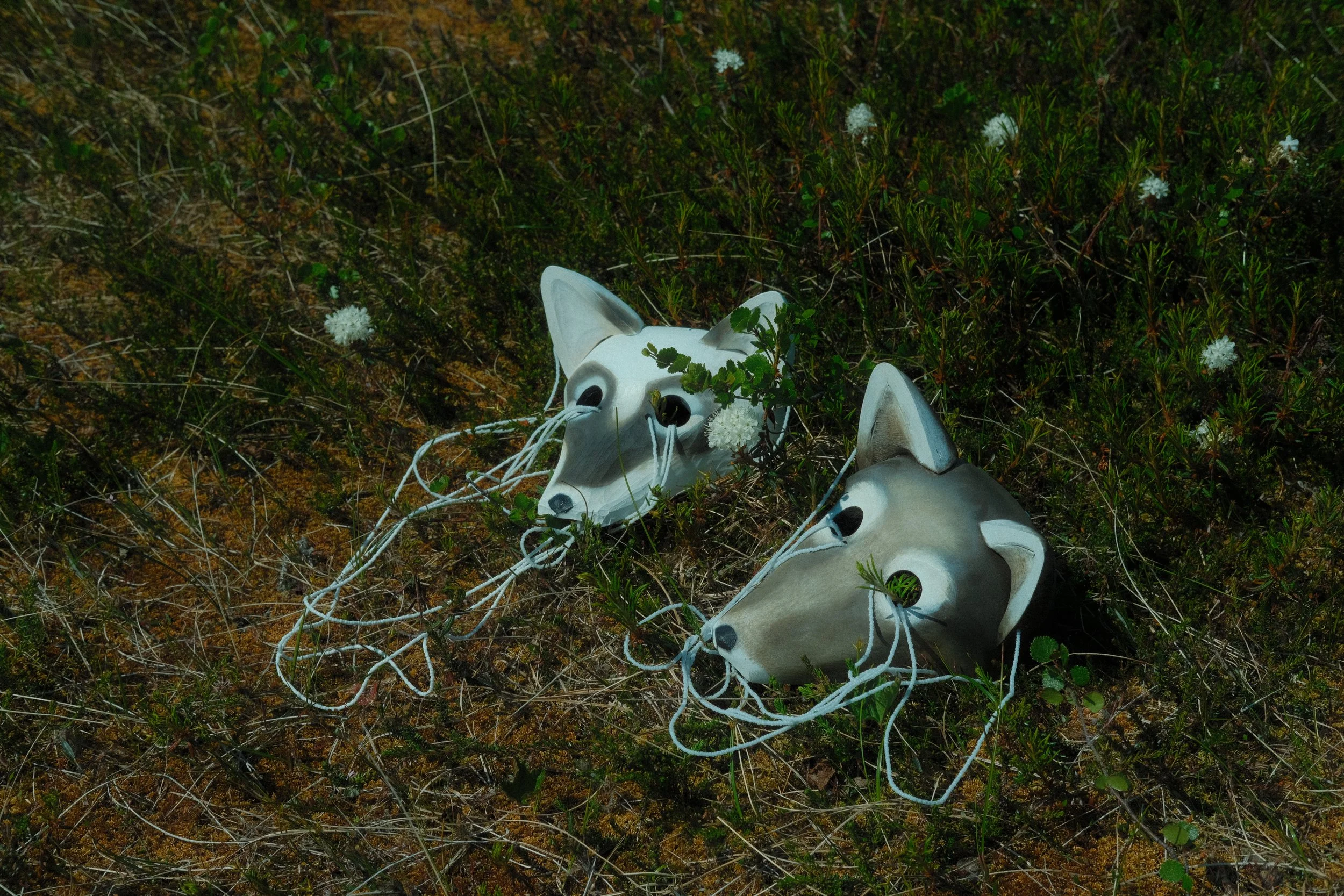  Tigigaaniak on the Tundra