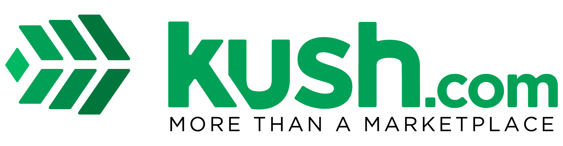 February 2019 - Present