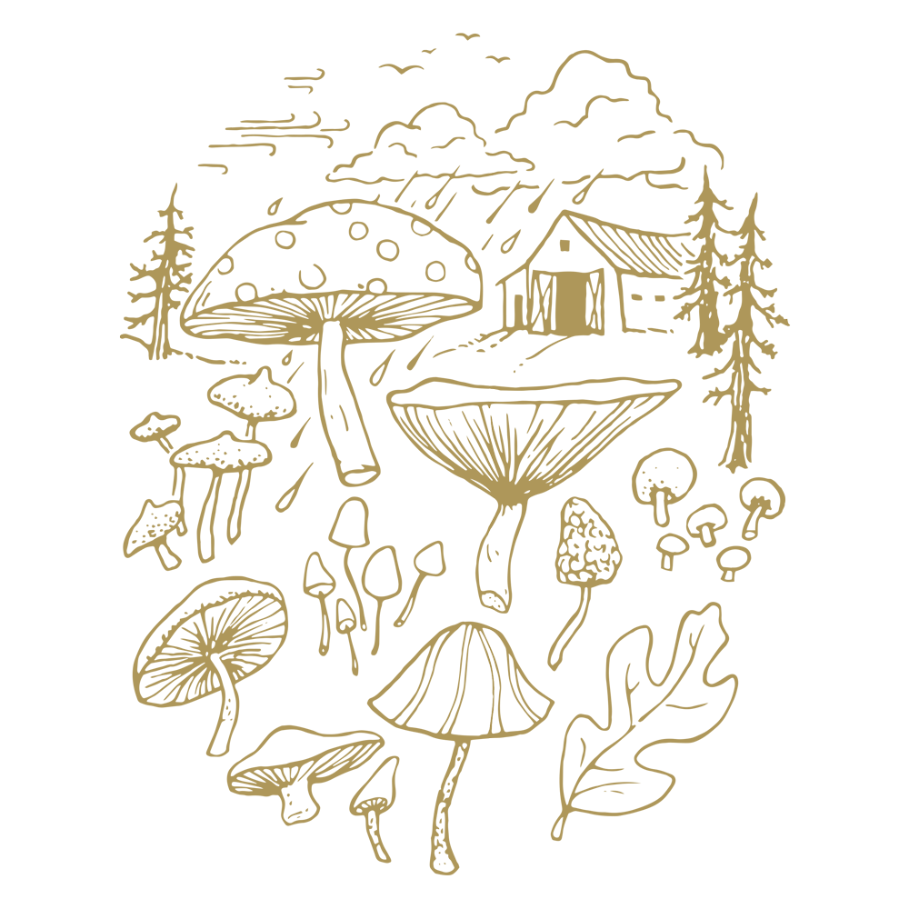cultivating_drawing_01b.png