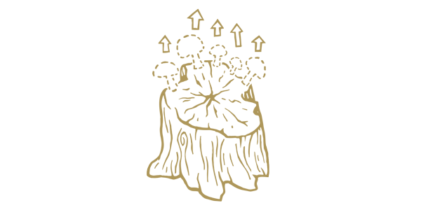growing_drawing_01.png