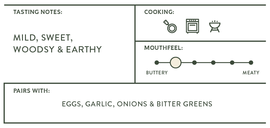 Blue Oyster Ledger-100.png