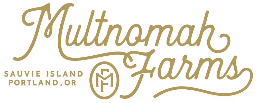 mf_script_logo_01.png