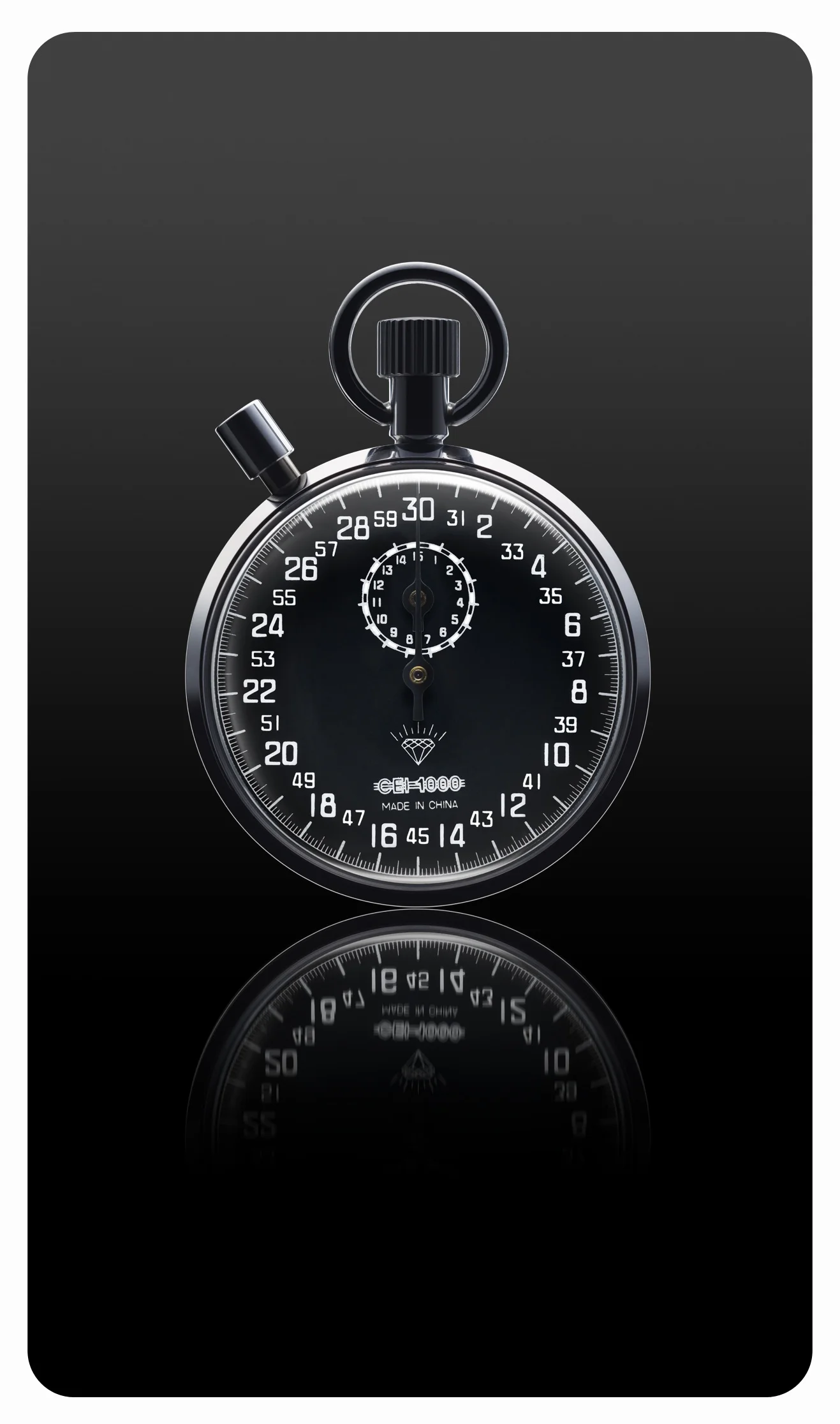 CITIAA_watch_0809.jpg