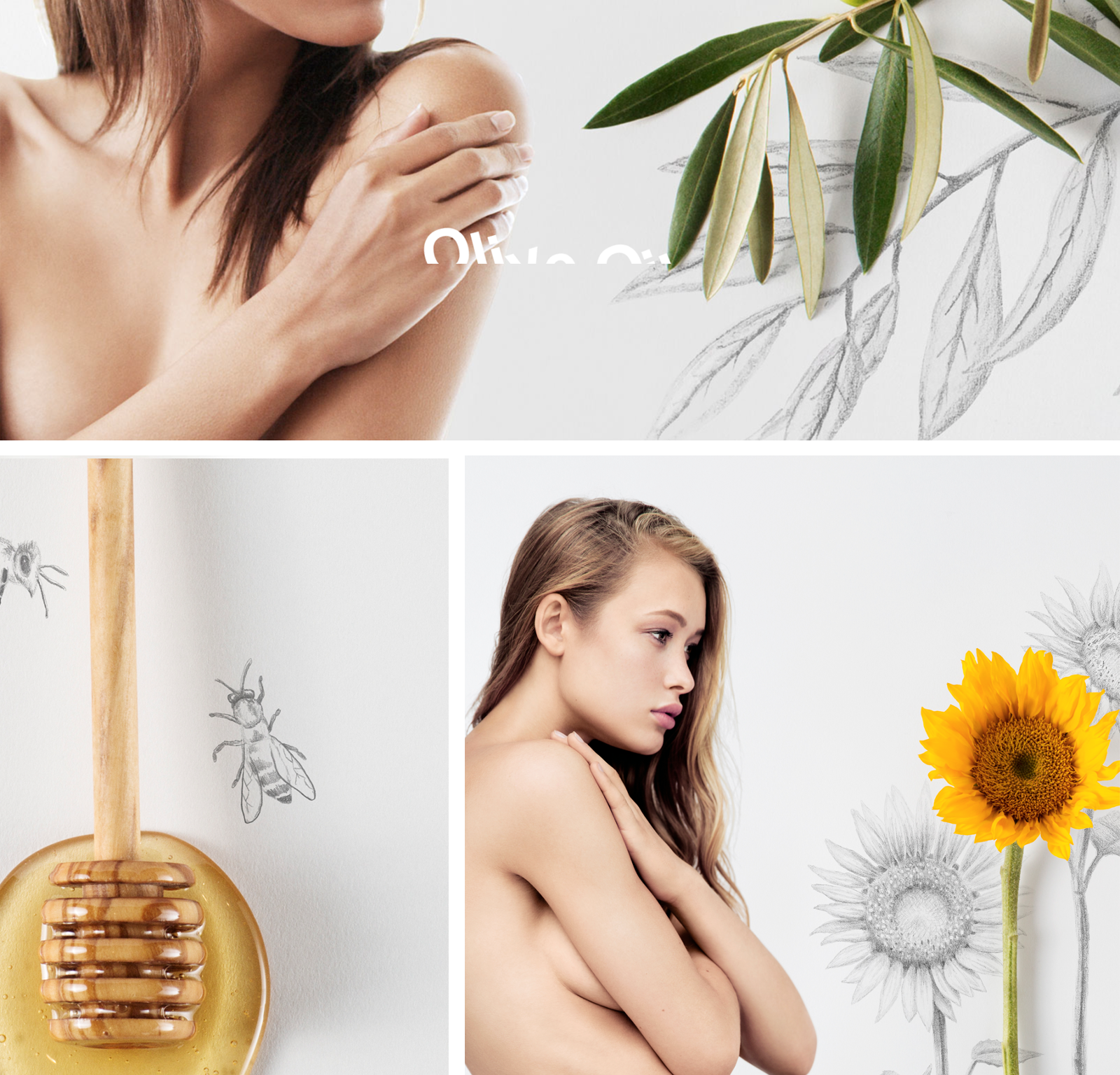PAGES_N0_Elements_1_900_1600_c.png