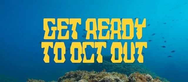 1083556_H2 2020_FBAppSocialMarketing_MTQ4_Octonation_CoverVideo_1640x720.mp4