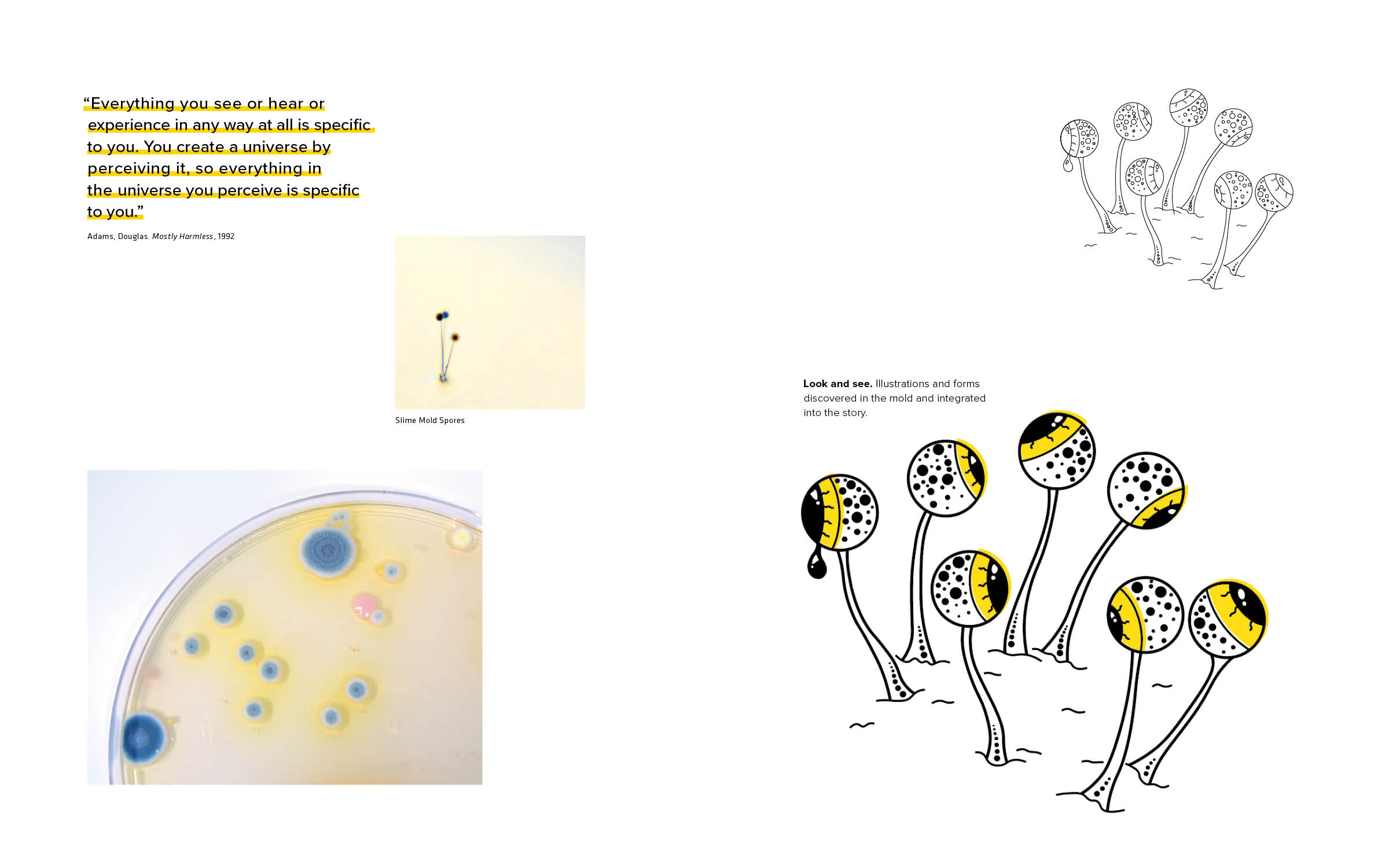Fluekiger_Katja_Book_Spreads_Proof_216.jpg