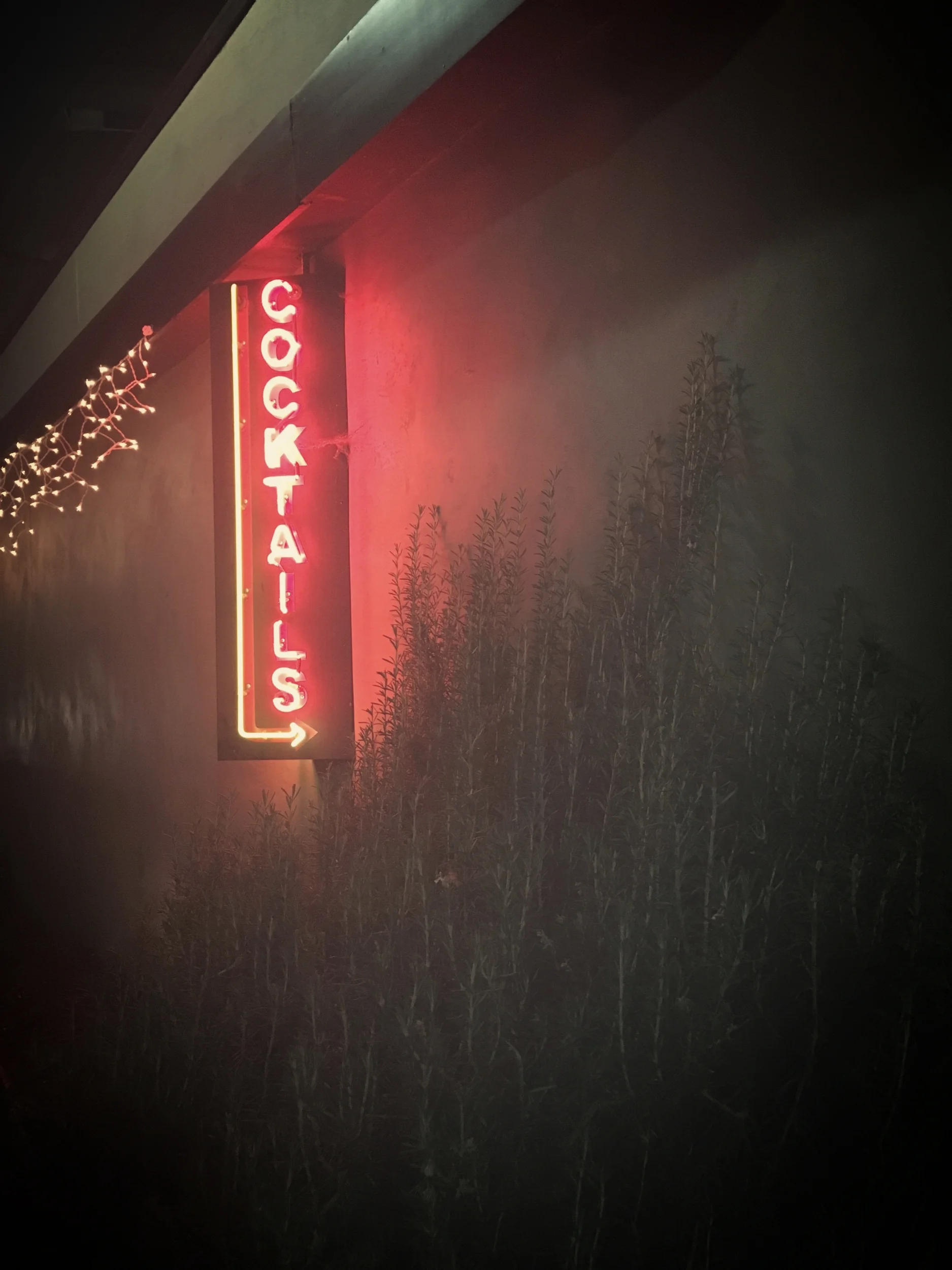 Low-Residency vs. Full-Time MFA Programs and Dry April: I'm Not Drinking Alcohol for a Month