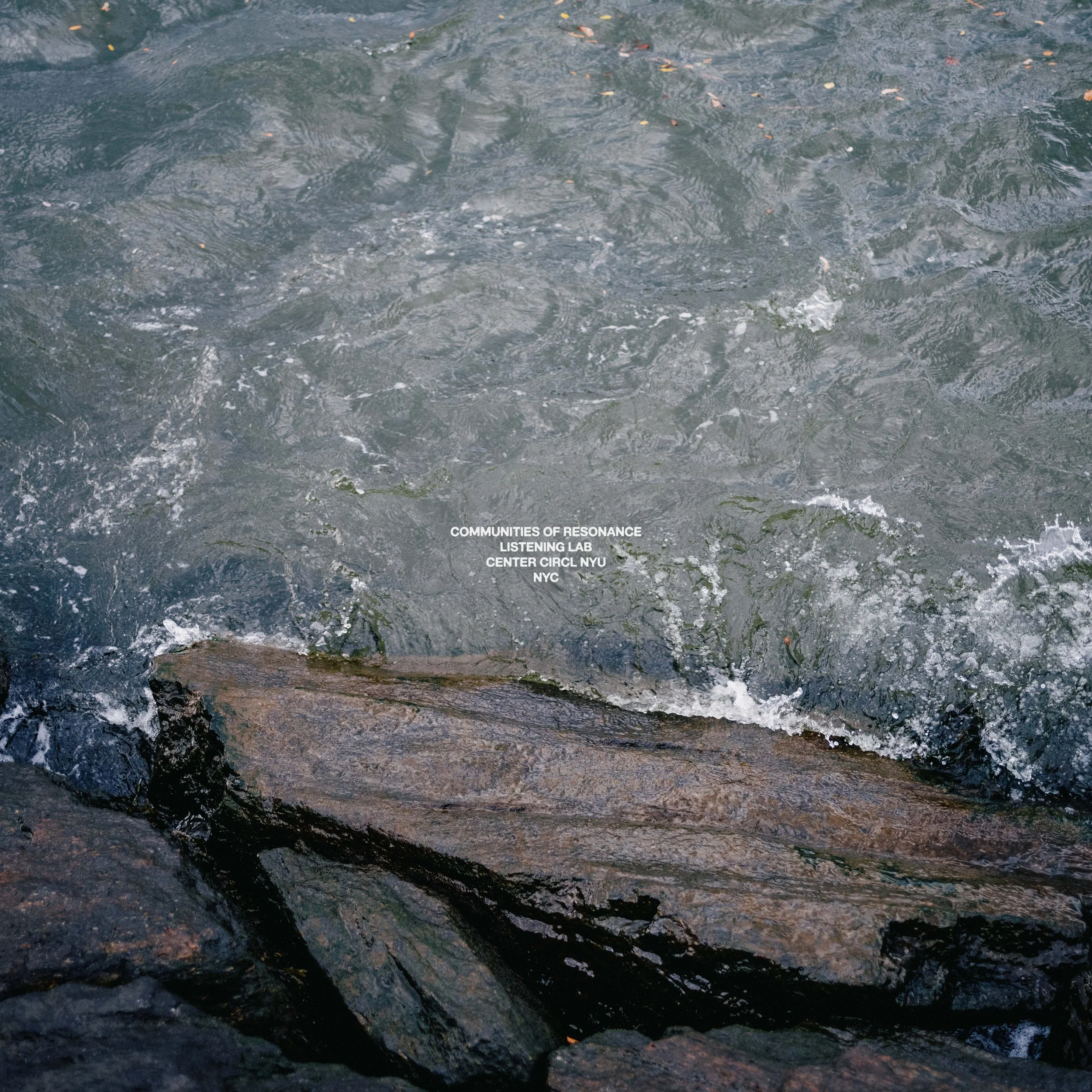 river print title.jpg