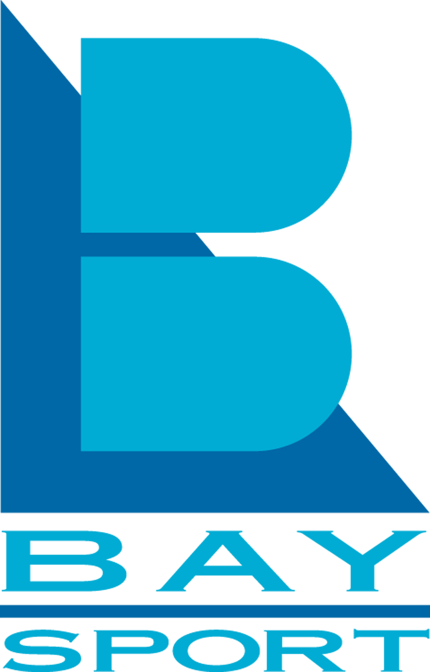 Bay-Sport-Logo_PMS-301_312-4x6.png