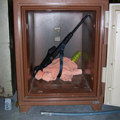 gun in safe.png