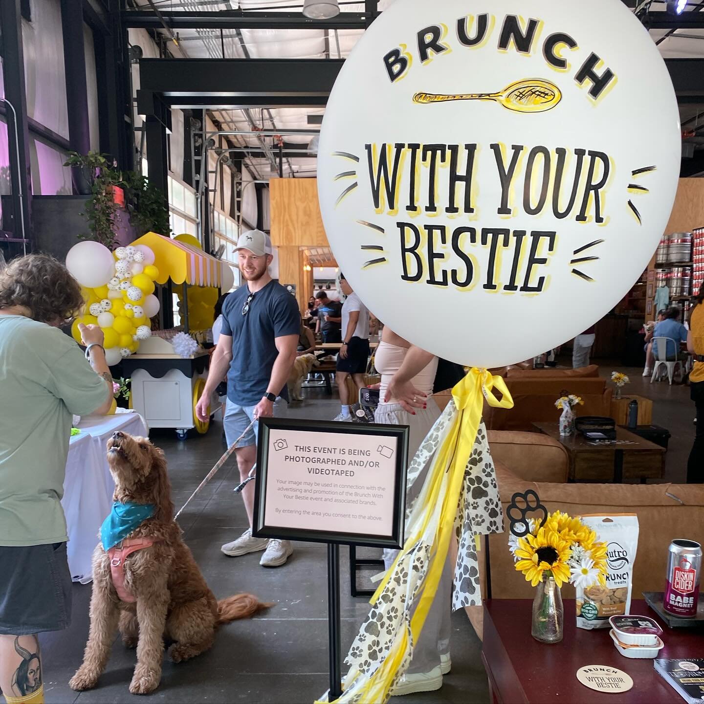 Hand-painted logo balloons, bespoke fringe, grab+go bursts and lots and lots of happy dogs 🐶&hellip; event success! 💛 
#vroomvroomballoon